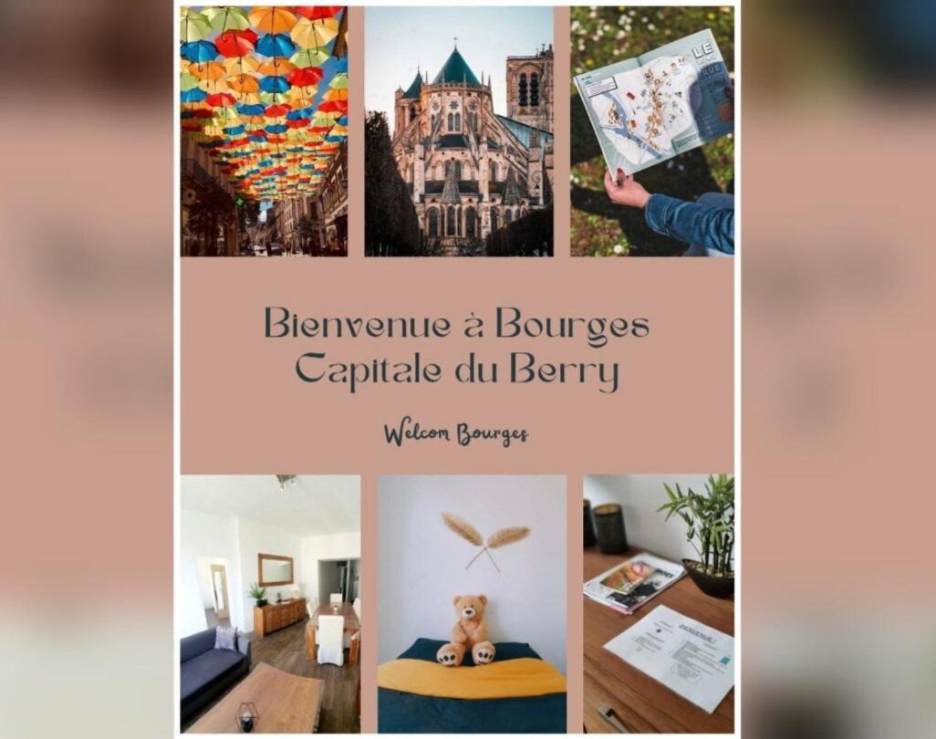 Appartamento Lumineux & Convivial Bourges Esterno foto